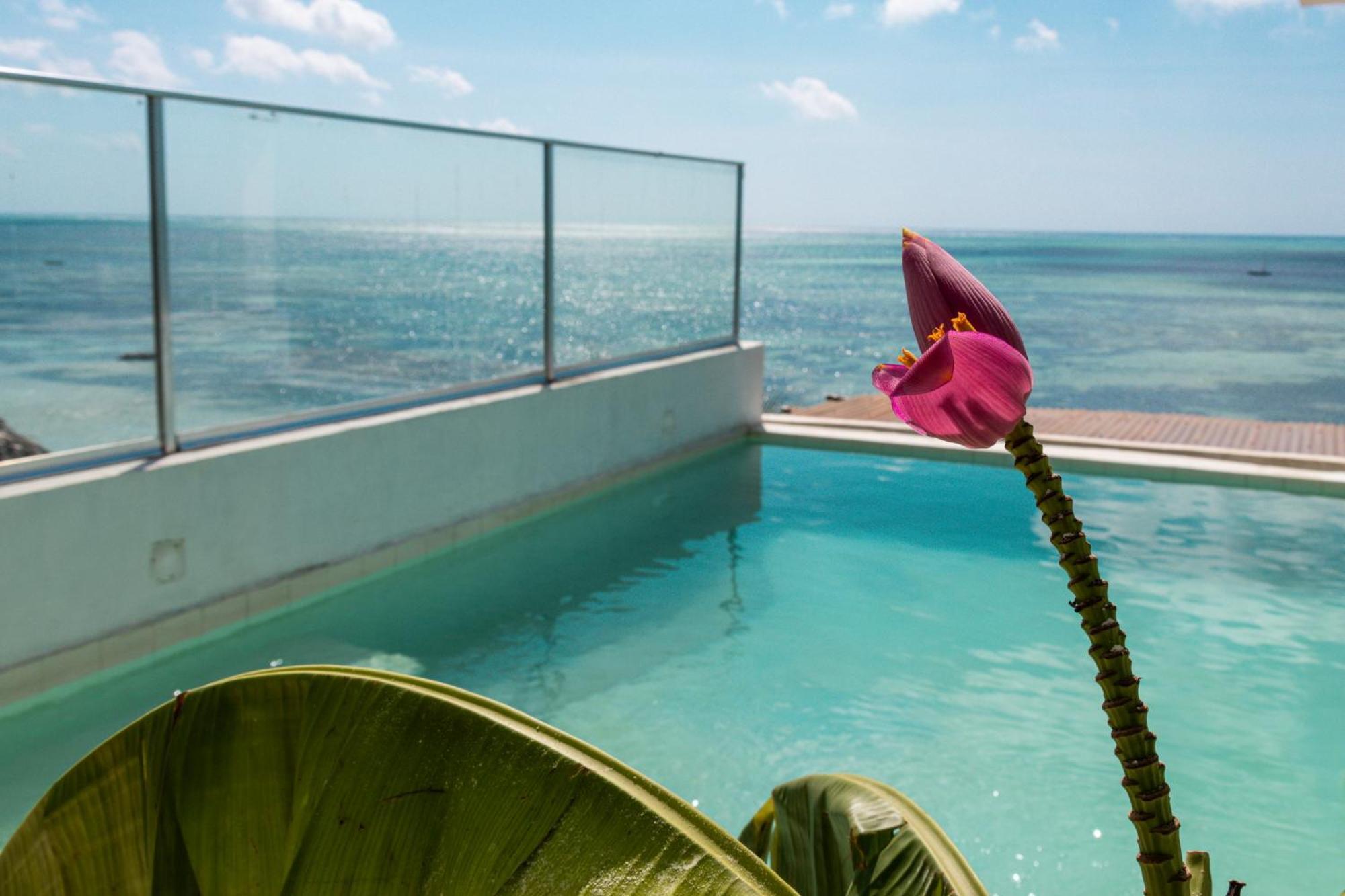 Hotel Pili Pili Sunrise Beach Jambiani  Exterior foto