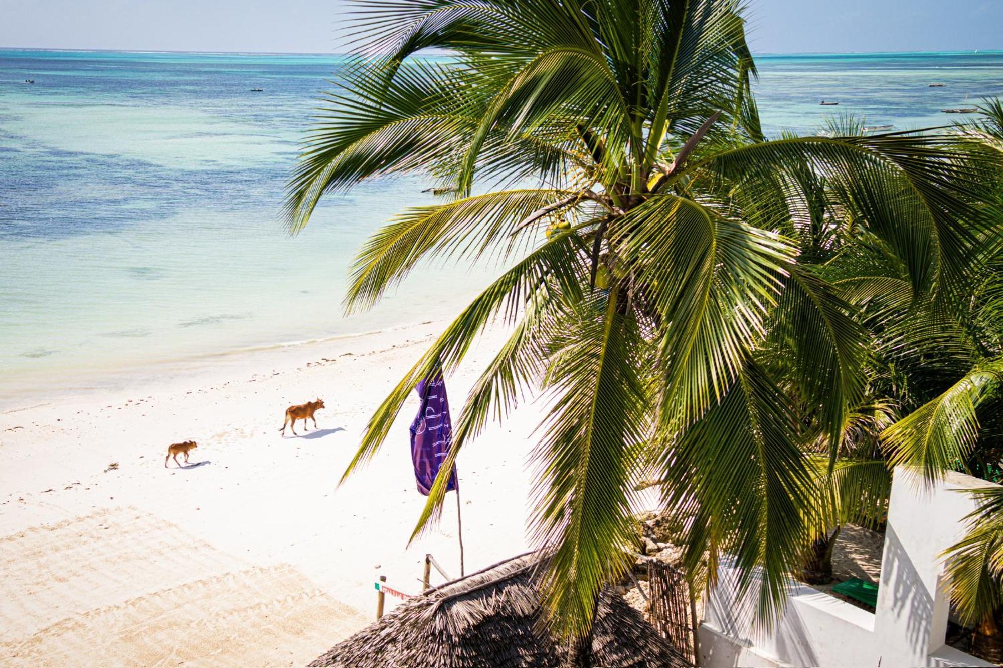 Hotel Pili Pili Sunrise Beach Jambiani  Exterior foto